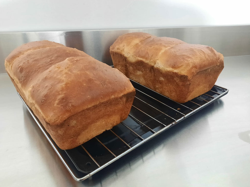 Pan Brioche Molde