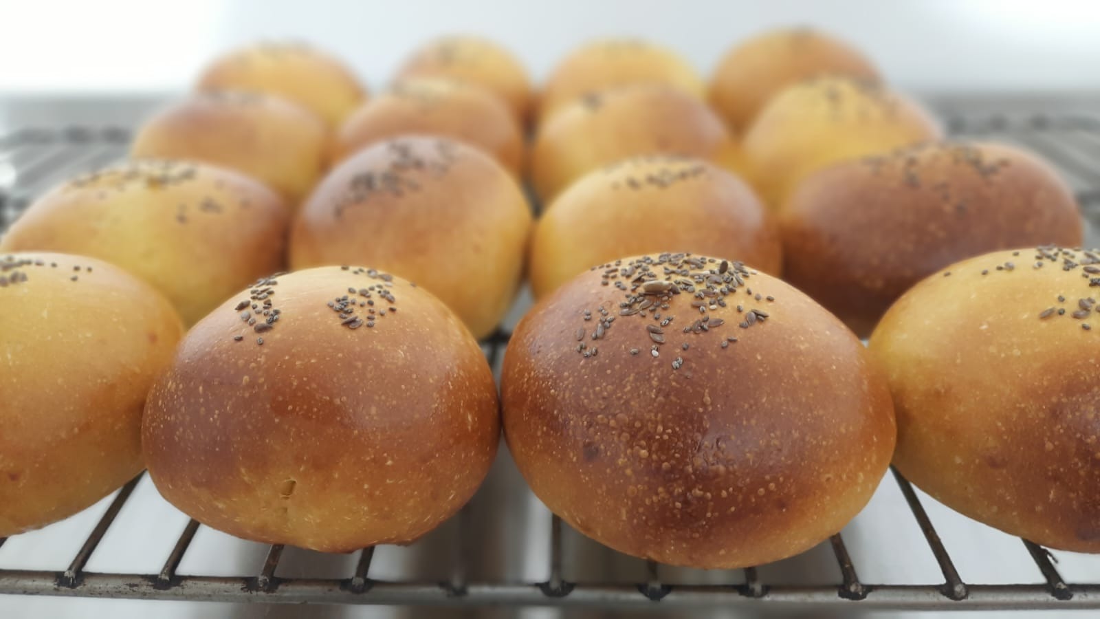 Pan de Hamburguesa (5 unidades)